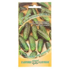 Cucumber seeds 