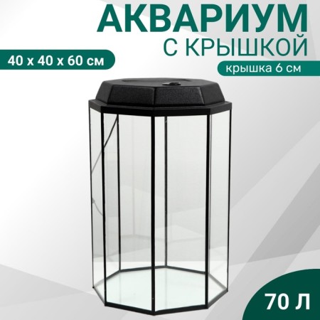 Aquarium "Binogrand" with a lid, 70 liters, 40 x 40 x 60/66 cm, black