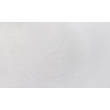 Wallpaper repair non -woven Elysium, E59110, 1.06x25M