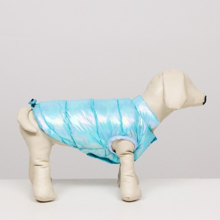 Dog jacket two -sided with a weight, size 18 (ds 40 cm, og 50 cm, Osh 38 cm), blue-1