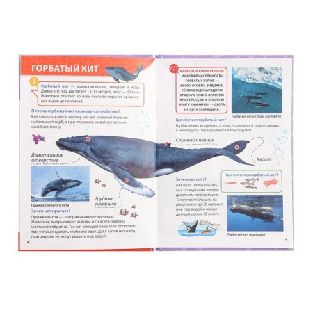 Encyclopedia for small clutches "Red Book"-4