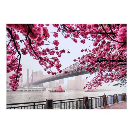 Picture on the canvas "Blooming Sakura in New York" 50*70 cm
