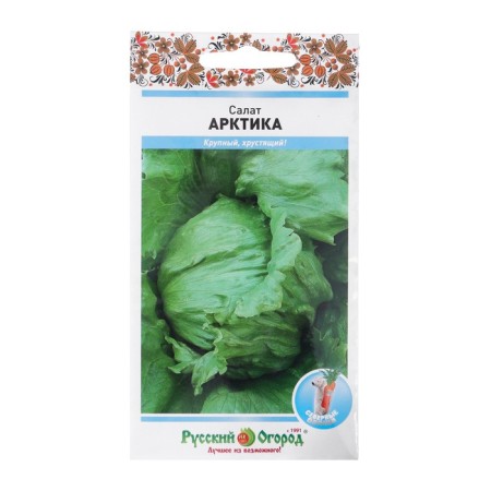 Seeds Salad Iceberg "Arctic", 1 g