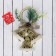 New Year's decoration "Three bells with a bump and twigs" 15x22 cm, gold