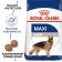 Dry feed RC Maxi Adult for dogs of large breeds, 3 kg