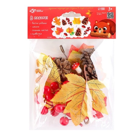 Set for creativity "Materials for autumn crafts. Leaves, cones "-5