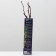 Grape seedling Kishmish No. 342, spring 2024, 1 pc.