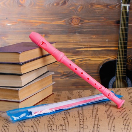 Music Life Blockflate, 8 holes, German system, soprano, pink-2