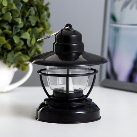 The nightlight "Evlampia" LED 1W from the batteries 2haaa black 10x10x12cm Risalux-1