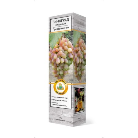 Fruit grapes "transformation", tube, 1 pc, spring 2024