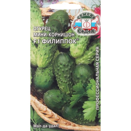 Cucumber seeds "Filippic" F1 0.3 g