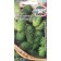 Cucumber seeds "Filippic" F1 0.3 g