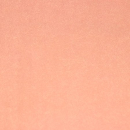 Floristic parchment "Coffee" 0.6 x 10 m, 52 g/m2-2
