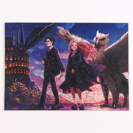 Figure puzzle "Magic School"-1