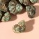 Natural decorative shells "Green shell" set 100 grams