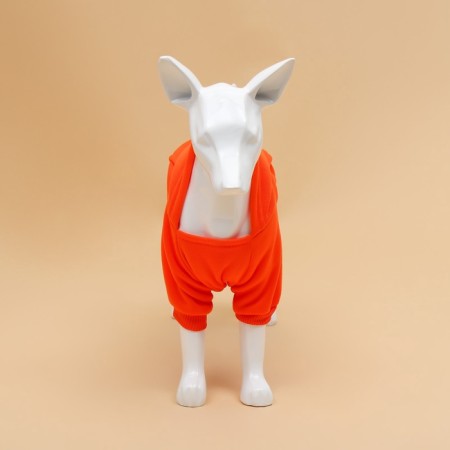 Sweep for animals with a hood, size S (DS 35 cm). Orange-2