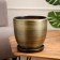 Flower pot "sophistication" brown, 4.7 liters