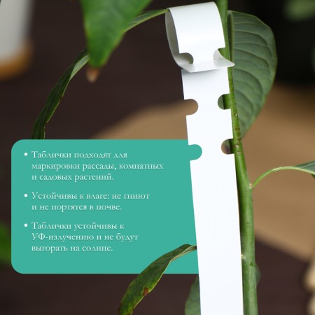 Garden tags for marking, 27 × 2 cm, set 20 pcs., Plastic, mix, Greengo-2