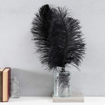 Feather of ostrich 35-40 cm, black