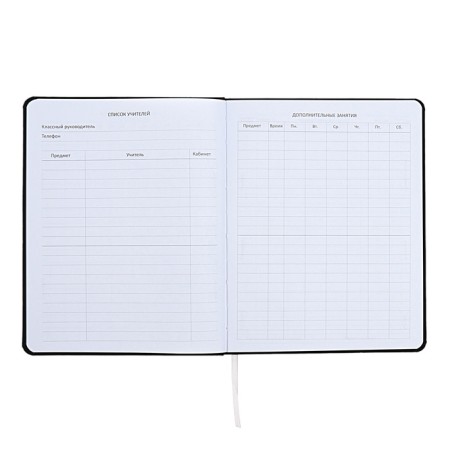 Universal diary for grade 1-11 I’m fine, integral cover, artificial leather, silkography, lies, 80 g/m2-5