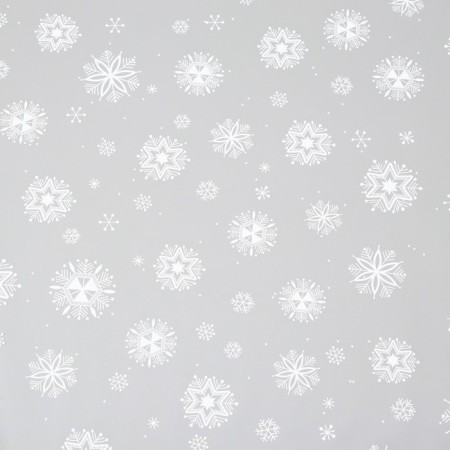 Glossy film "Salutics", white, 0.7 x 10 m, 40 μm, 200 grams-1