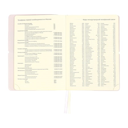 Diary of Leduced A5 136 DEVENTE sheets. Jane, soft pvc cover, elastic band, perforation, liesse, block 70, lilac-10