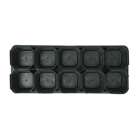 Set for seedlings: glasses of 300 ml (10 pcs), pan 41 × 17 cm, color mix-10