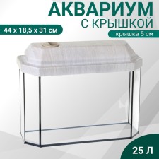 Aquarium 