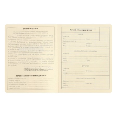 School diary for grades 1-11 Schoolmix. Koala, hard cover, artificial leather, with foam, liesse, 48 sheets, tinted block 70g/m2-2