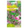 Flower seeds hyacinth beans "two -color", O, CP, 1 g