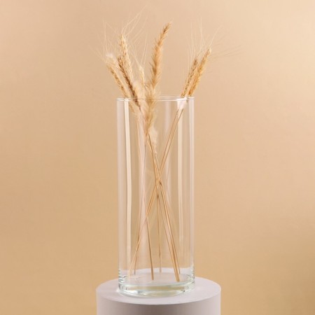 VAZ "Ibertta-300" 30x12 cm, 2.8l transparent-1