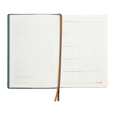 Dated 2025 diary, A5, 176 sheets of Escalada, solid cover of artificial leather, foil embossing, liesse, cream block 70 g/m2, green-6