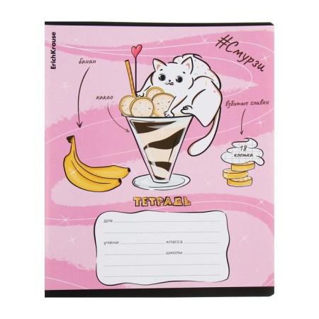 Notebook of 18 sheets in the Erichkrause "Smurzi", the cover coated cardboard, block offset, mix-3
