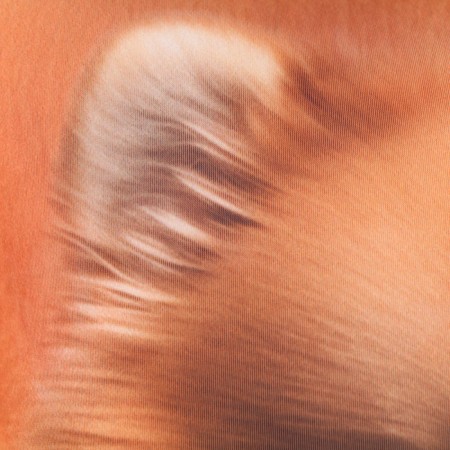 Antistress pillow "Spitz"-4