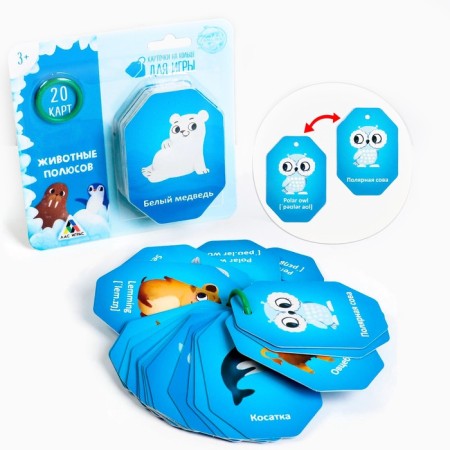 Cards on the ring for learning English "animals of poles", 20 cards, ring, 3+