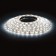 A set of LED tape "ERA" 5 m, IP20, SMD2835, 60 LED/m, 12 V, 6500K