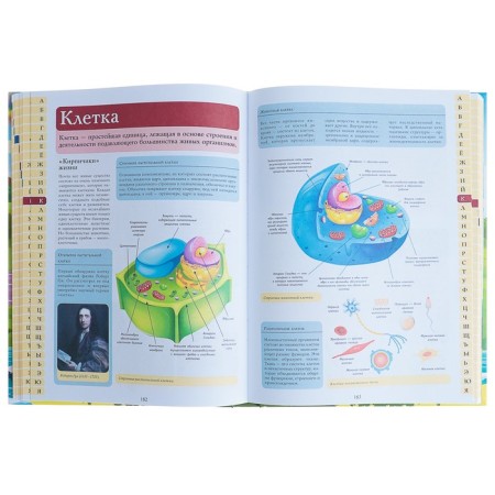 Large children's illustrated dictionary about everything in the world. Alekseeva V.K. and etc.-3