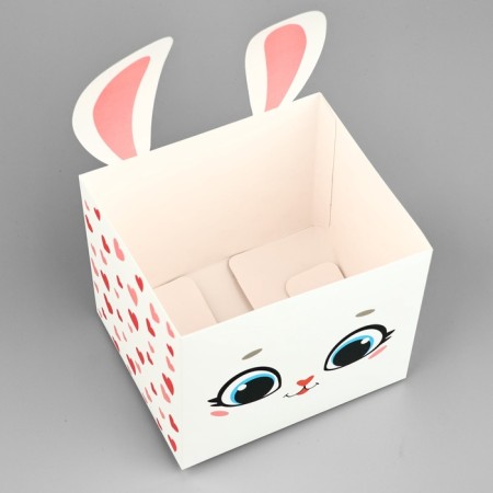 Boxes for mini bouquets "Bunny", 12 × 20 × 10 cm-4