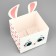 Boxes for mini bouquets "Bunny", 12 × 20 × 10 cm