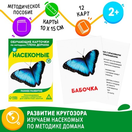 Educational cards according to the method of Glena Doman "insects", 12 cards, A6, 2+