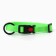 Dogs for dogs biotan, ok 25-45 cm, green