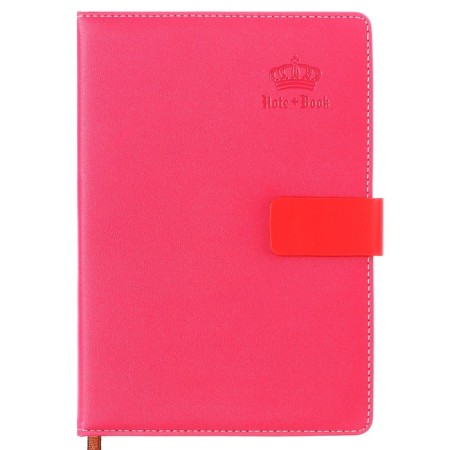 Organizer A5, with a header, 120 sheets in a ruler, PVC cover, mix-11
