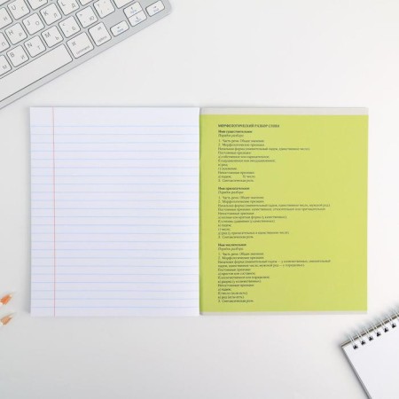 Substance notebook 48 sheets, A5, characters, with reference materials “September 1: Russian language”, covered Cardboard 230 gr., Inner block in the line of 80 gr., Whiteness 96%-4