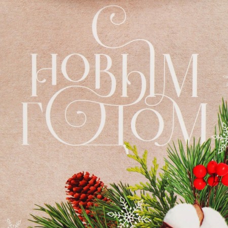 Folding box "Cotton", 15 x 7 x 22 cm, new year-5