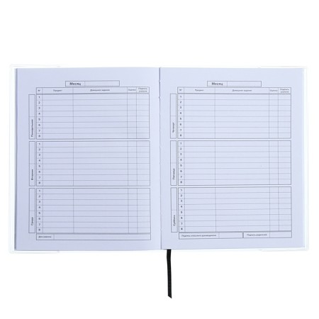 Universal Diary Grade 1-11, 48 sheets "Cosmonaut", a soft cover of PVC, embossing with foil, liesse, block offset-7