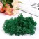 Artificial moss "dark green" 10 g