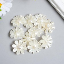 Decor for creativity Plastic 