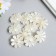 Decor for creativity Plastic "Flower-Goffra Pearl" set 10 pcs 1.2x3.1x3.1 cm