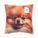 Decorative pillow "Spitz"