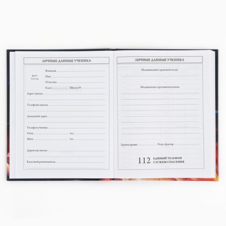School Diary of 1-4 class, in a solid cover, 48 liters "September 1: Red Kitten"-3